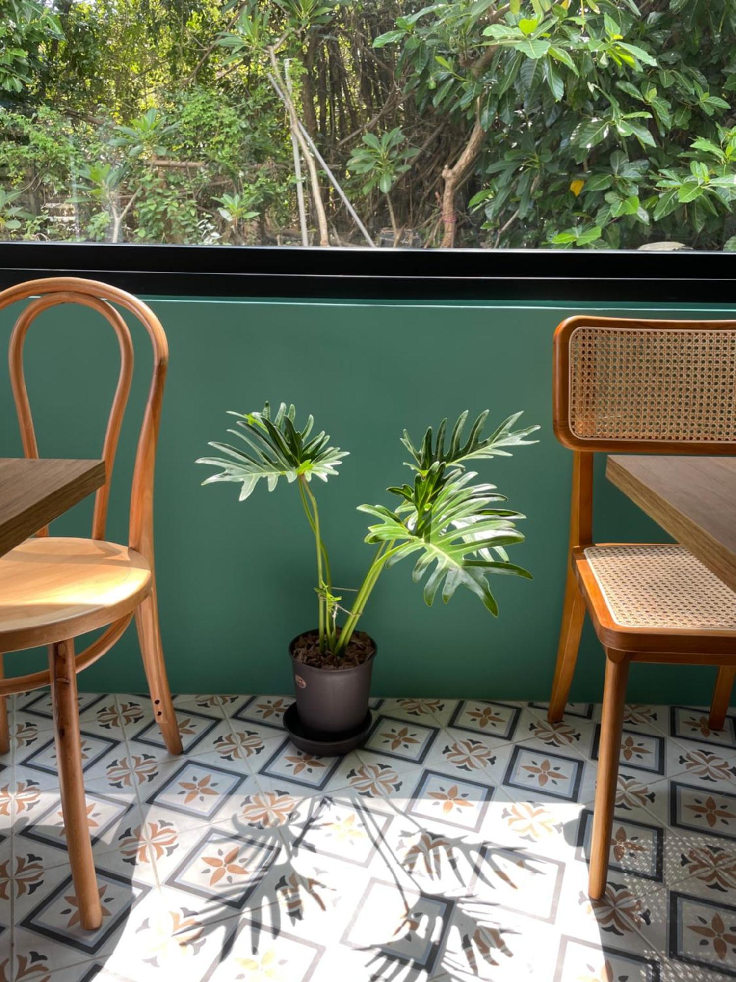 Lixia Hostel Xiaoliuqiu Bagian luar foto